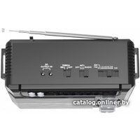 Радиоприемник Ritmix RPR-200 (черный)