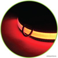 Ошейник Triol Night City 11271011 (S, красный)