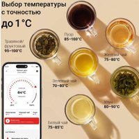 Электрический чайник Redmond (Редмонд) KG259S (черный/тонировка) в Лиде