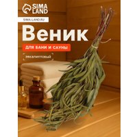 Банный веник Добропаровъ Эвкалиптовый 683771