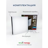 Припотолочная люстра TruEnergy 11170