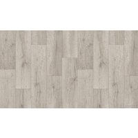 Линолеум Tarkett Club Arma 1 (4x1.5м)