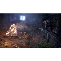  Rise of the Tomb Raider для PlayStation 4