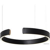 Подвесная люстра LOFT IT Ring 10025/400 Black