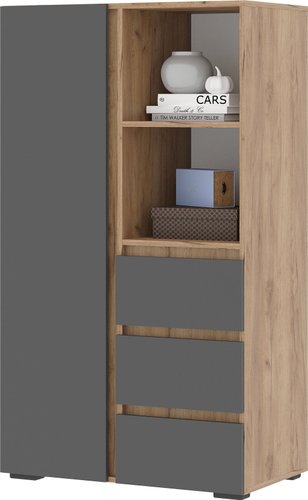 Шкаф распашной Стендмебель Хелен ШК 03 (серый графит 0162/дуб крафт золотой)