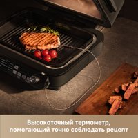 Аэрогриль (аэрофритюрница) Trouver Indoor Air fry grill IG20 Pro Black