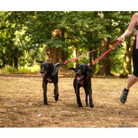 Поводок Halti Double Ended L (красный)