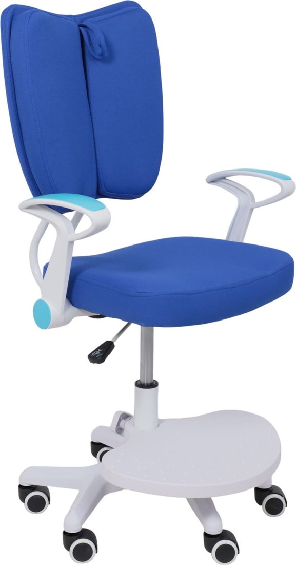 

Детское ортопедическое кресло AksHome Pegas (синий)