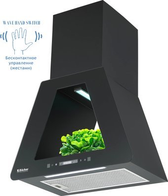 

Кухонная вытяжка Backer KH60E-F1 Black