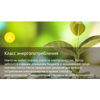 Кухонная плита Hansa FCMX58259