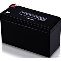 Аккумулятор для ИБП IPPON IPL12-9 (12В/9 А·ч)