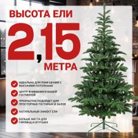Ель Winter Time 215 MKB07-941T