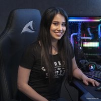 Игровое (геймерское) кресло Sharkoon Skiller SGS40 (черный)