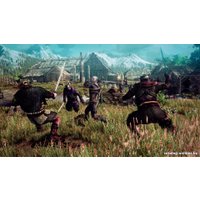 Компьютерная игра PC Ведьмак 3: Дикая Охота
