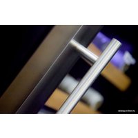 Винный шкаф Cold Vine C12-TSF2