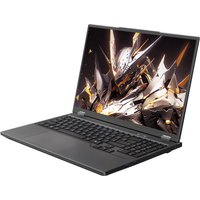 Игровой ноутбук Maibenben X-Treme Tsunami X16F X16F-R98957T1JGRHG4E10