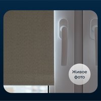 Рулонные шторы Franc Gardiner Blackout Dublin 55x160 6530338 (бежевый)