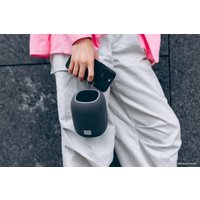 Беспроводная колонка Canyon BSP-8 (бордовый)