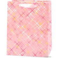 Пакет подарочный Stilerra PSYS 01 23x10x18 см в Солигорске