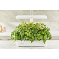 Умный сад CACTUS CS-LEDPOT-10