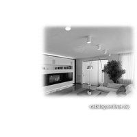 Точечный светильник JAZZway 5005716