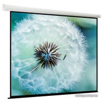 Проекционный экран ViewScreen Breston 220х163 EBR-16909
