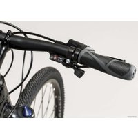 Велосипед Trek Dual Sport 2 (черный, 2019)