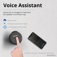 Беспроводная колонка Tronsmart T6 Mini (черный)