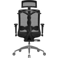 Офисное кресло Evolution FUSION Mesh (черный)