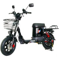 Электровелосипед Smart Balance Master Pro 30 Ah 2025