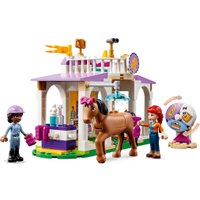 Конструктор LEGO Friends 41746 Тренировка лошадей