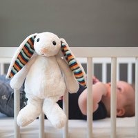 Музыкальная игрушка Zazu Биби