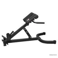 Гиперэкстензия Alpin Iron G-12