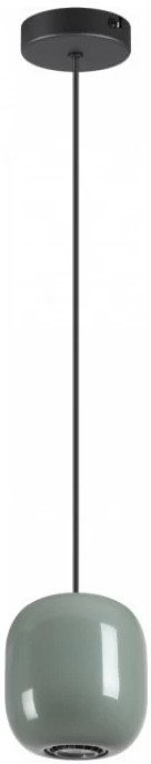 

Подвесная люстра Odeon Light Ovali 5053/1C