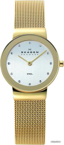 Наручные часы Skagen 358SGGD