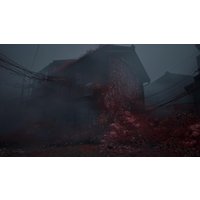  Silent Hill f. Day One Edition для PlayStation 5