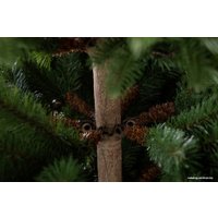 Ель GreenTerra Калифорнийская 1.8 м