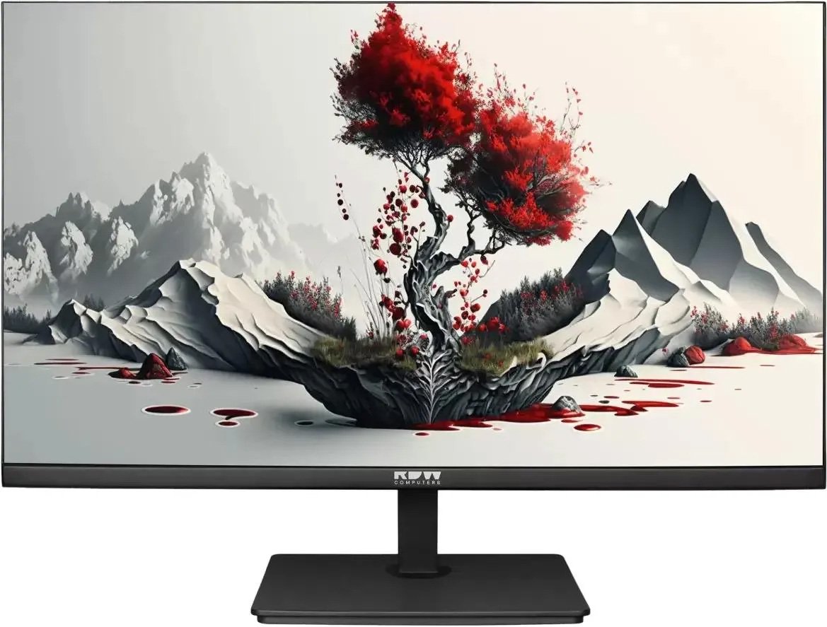 

Монитор RDW Computers 2401K/F00В3100V2A1H