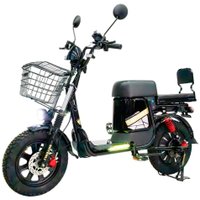 Электровелосипед Shtenli Trekking 55 60V20A