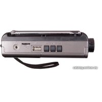 Радиоприемник Ritmix RPR-151