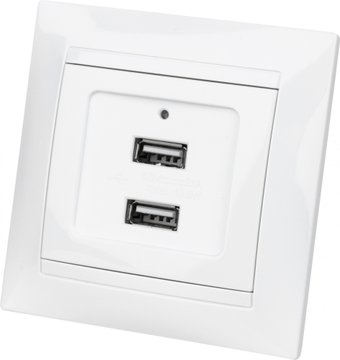 Розетка USB TDM Electric Лама SQ1815-0041