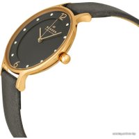 Наручные часы Skagen SKW2267