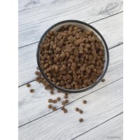 Сухой корм для собак Probalance Immuno Adult Small & Medium (для укрепления иммунитета) 15 кг