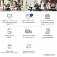 Универсальная коляска AROTEAM Belino Prima (2 в 1, 01/рама черная)