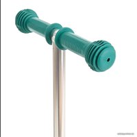 Трехколесный самокат Pituso EC-M08 (зеленый) в Пинске