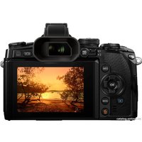 Беззеркальный фотоаппарат Olympus OM-D E-M1 Body