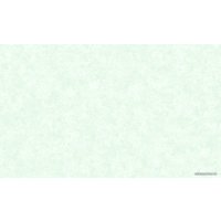 Виниловые обои Erismann Tessa 6189-5