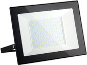 Elementary 033 FL LED 150W 4200K IP65