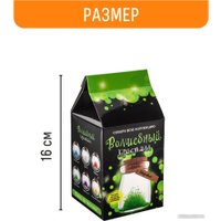 Набор для опытов Bumbaram Кристалл с пожеланием Здоровья k2