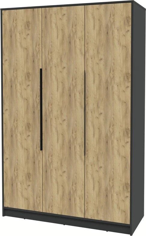 

Шкаф распашной Интерлиния Концепт КТ-Ш3 (дуб золотой/антрацит)